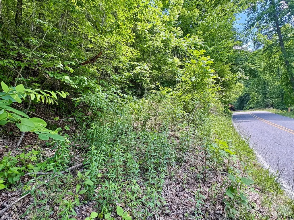 0 Alarka Road Bryson City NC 28713