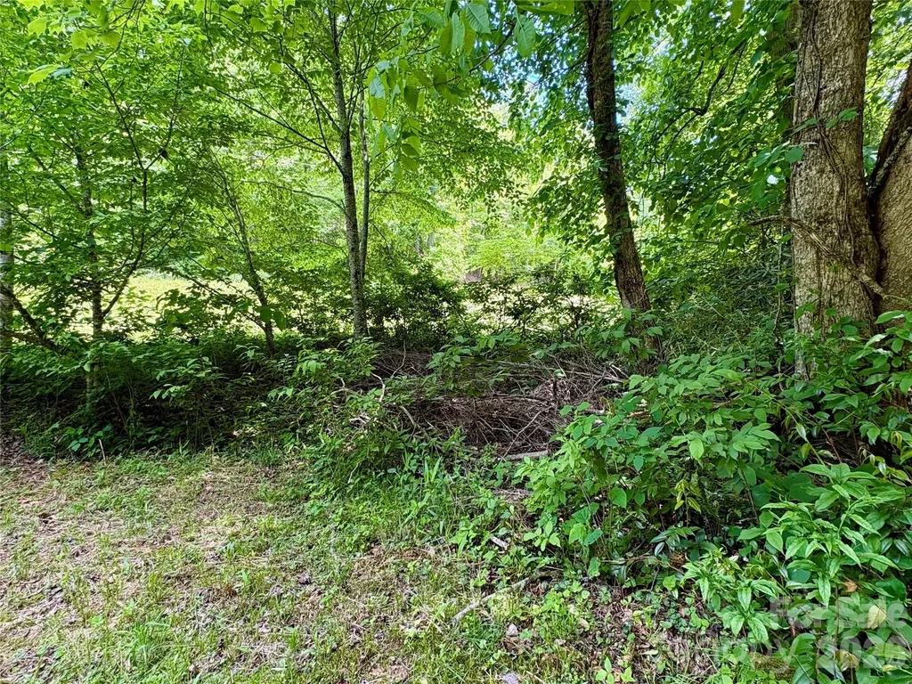 0 Alarka Road Bryson City NC 28713
