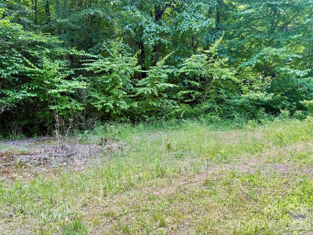 0 Alarka Road Bryson City NC 28713