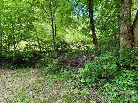 0 Alarka Road Bryson City NC 28713
