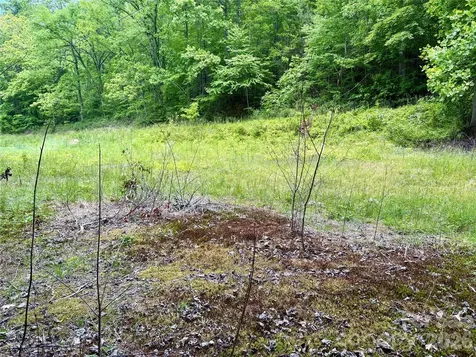 0 Alarka Road Bryson City NC 28713