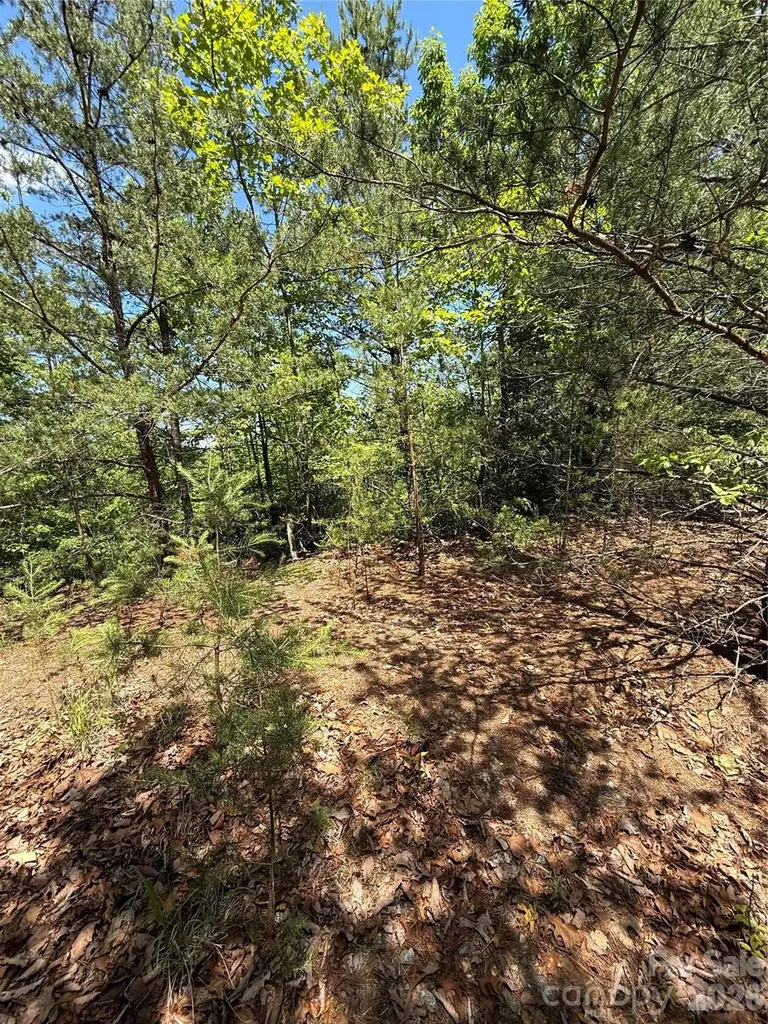 105 Scouts Trail Bostic NC 28018