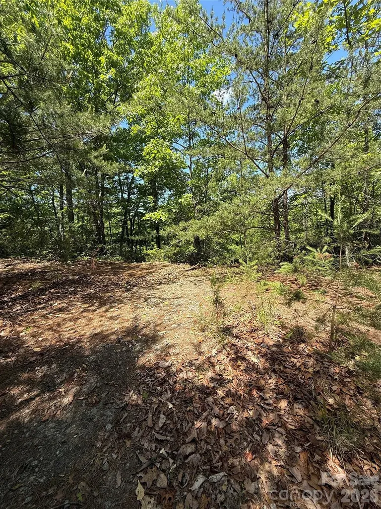 105 Scouts Trail Bostic NC 28018