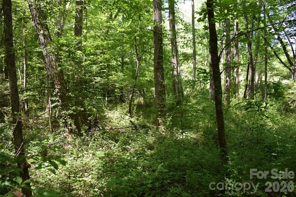 0 Floyd Blackwell Road Tryon NC 28722