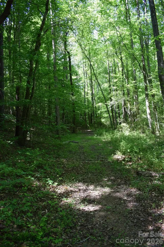 0 Floyd Blackwell Road Tryon NC 28722