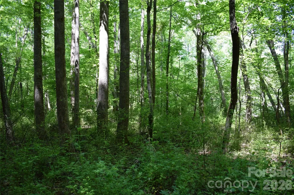 0 Floyd Blackwell Road Tryon NC 28722