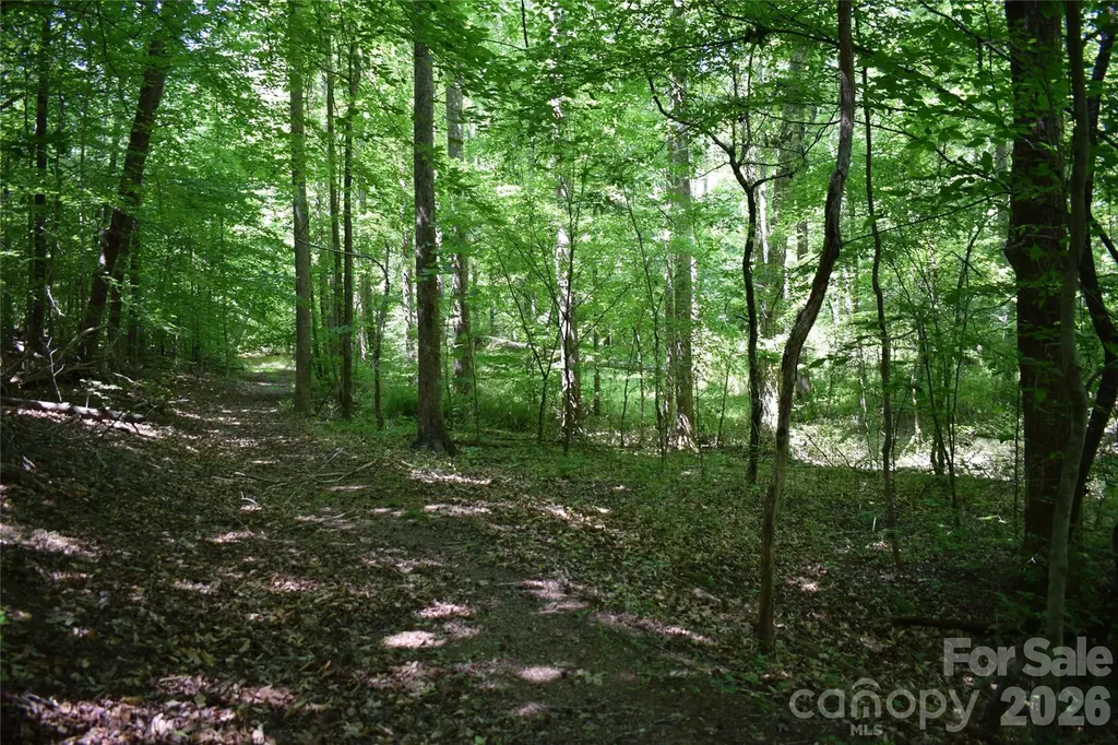 0 Floyd Blackwell Road Tryon NC 28722