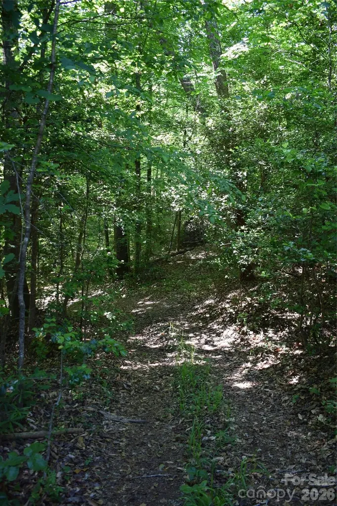 0 Floyd Blackwell Road Tryon NC 28722
