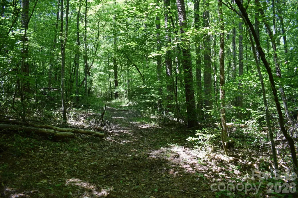 0 Floyd Blackwell Road Tryon NC 28722