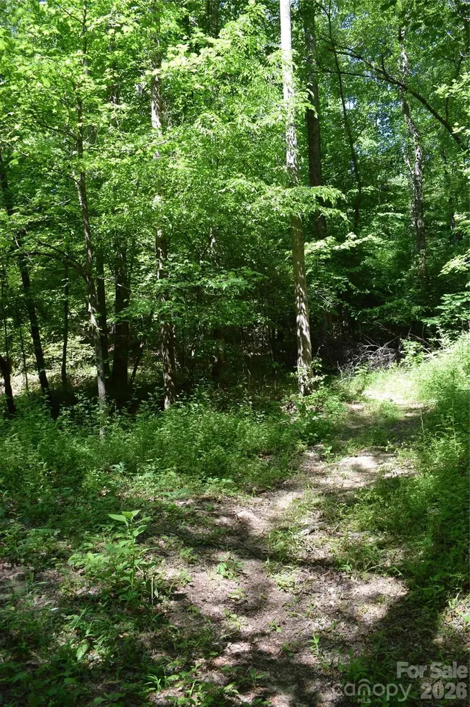 0 Floyd Blackwell Road Tryon NC 28722