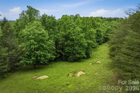 1350 Lavender Road Old Fort NC 28762