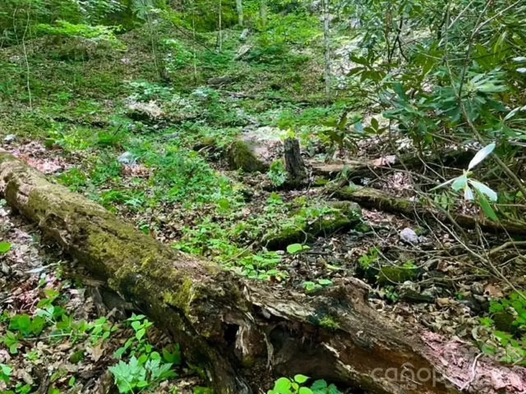 00000 Soco Road Maggie Valley NC 28751