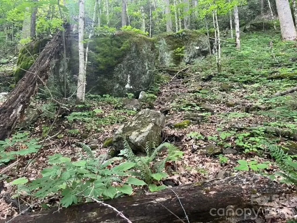 00000 Soco Road Maggie Valley NC 28751