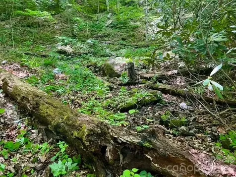 00000 Soco Road Maggie Valley NC 28751