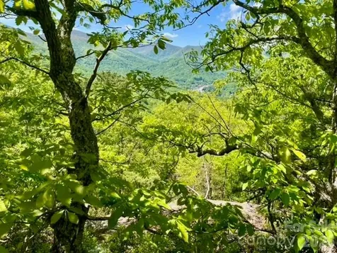 00000 Soco Road Maggie Valley NC 28751