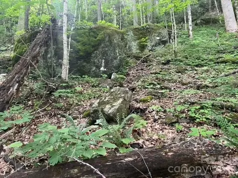 00000 Soco Road Maggie Valley NC 28751