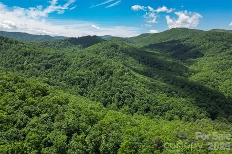 1620 North Haven Drive Black Mountain NC 28711