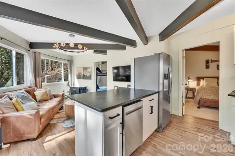 109 Beechwood Lane Beech Mountain NC 28604