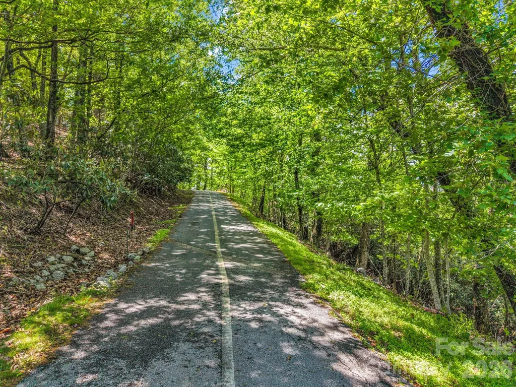 99999 Laurel Drive Mills River NC 28759