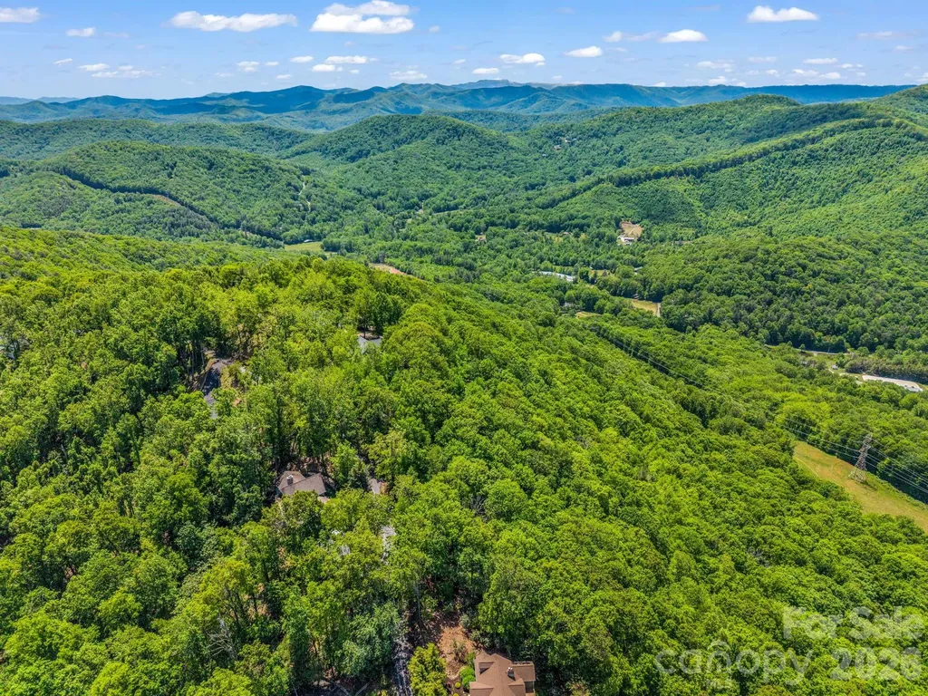 99999 Laurel Drive Mills River NC 28759