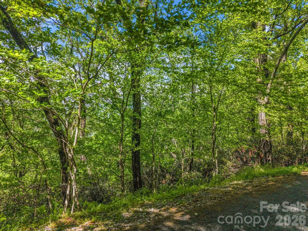 99999 Laurel Drive Mills River NC 28759