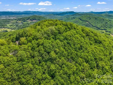 99999 Laurel Drive Mills River NC 28759
