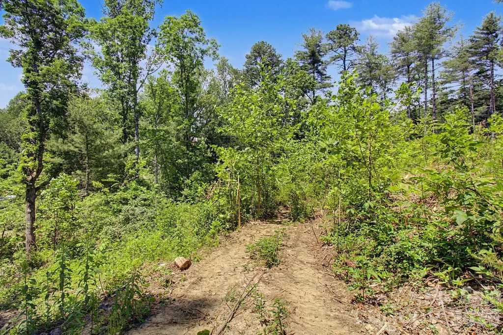 1355 Brookside Camp Road Hendersonville NC 28792