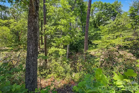 1355 Brookside Camp Road Hendersonville NC 28792