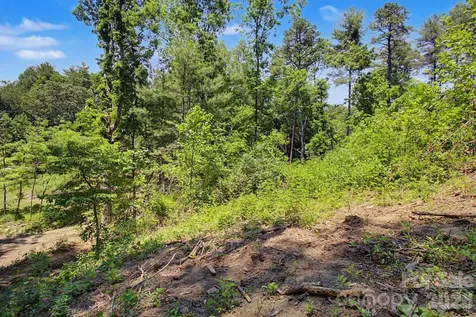 1355 Brookside Camp Road Hendersonville NC 28792