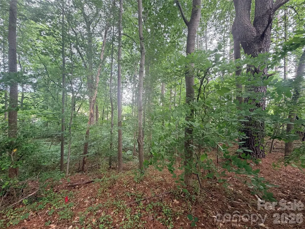 Lot 12 Sheepnose Drive Lake Lure NC 28746