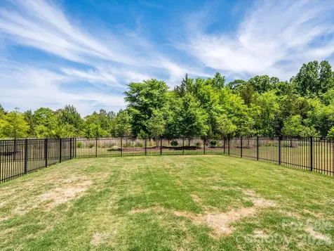14129 Canemeadow Drive Charlotte NC 28278
