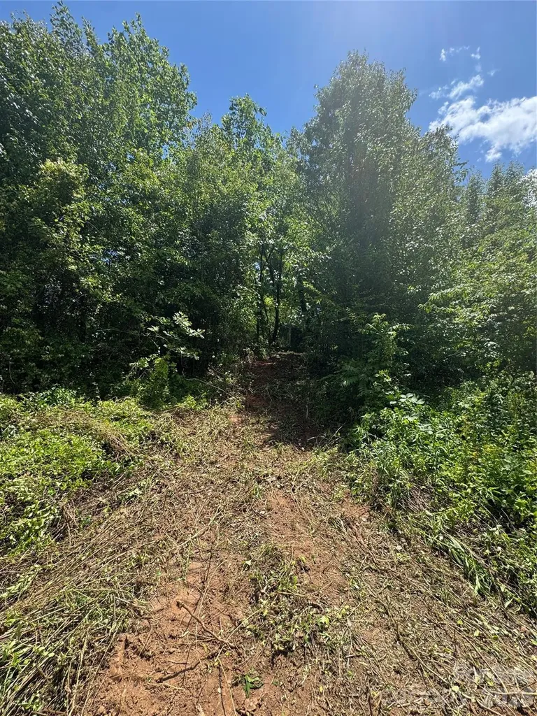 99999 Duckett Road Candler NC 28715