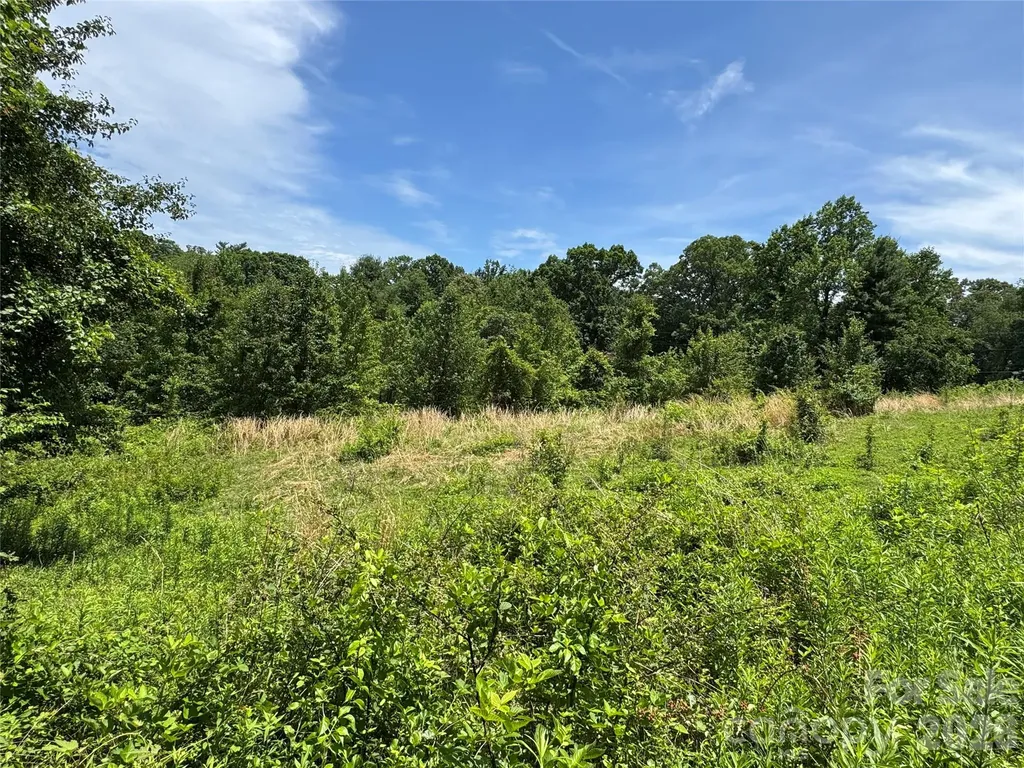 99999 Duckett Road Candler NC 28715