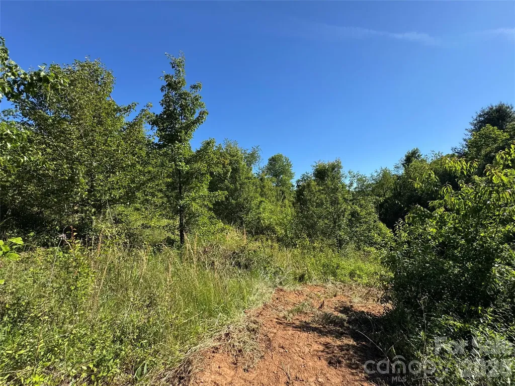 99999 Duckett Road Candler NC 28715