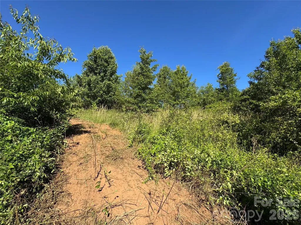 99999 Duckett Road Candler NC 28715