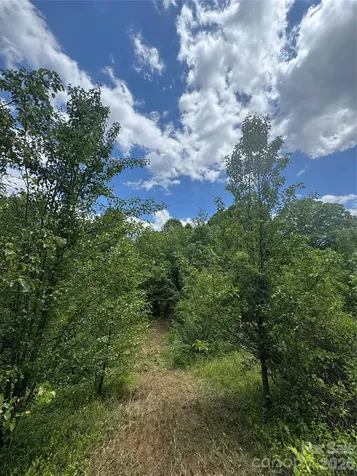 Tbd Duckett Road Candler NC 28715
