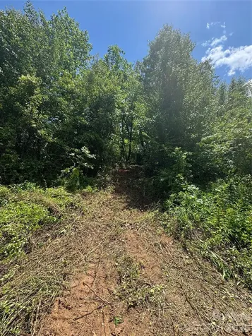 99999 Duckett Road Candler NC 28715