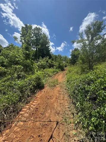 Tbd Duckett Road Candler NC 28715