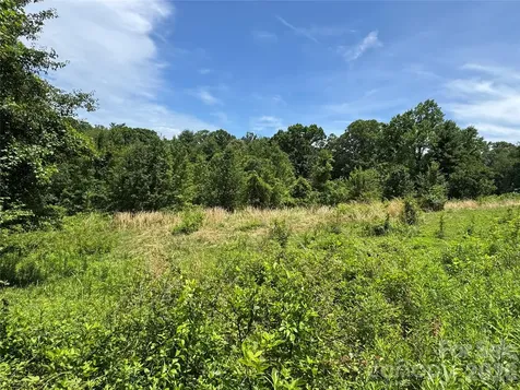 Tbd Duckett Road Candler NC 28715