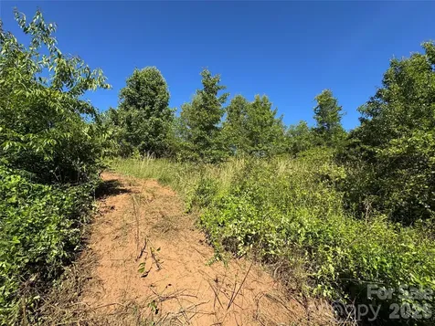 Tbd Duckett Road Candler NC 28715