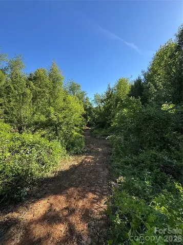 Tbd Duckett Road Candler NC 28715
