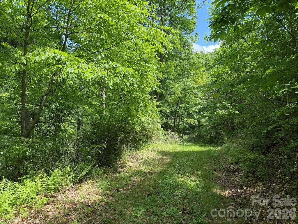 408 Arvil Gosnell Road Marshall NC 28753