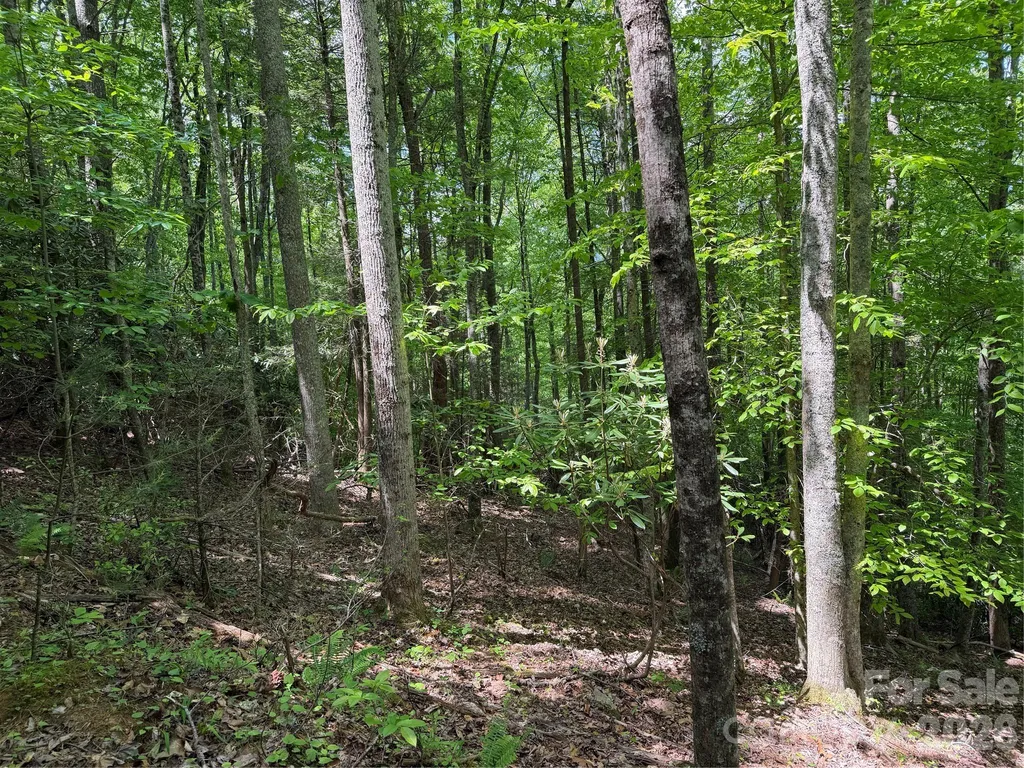 408 Arvil Gosnell Road Marshall NC 28753