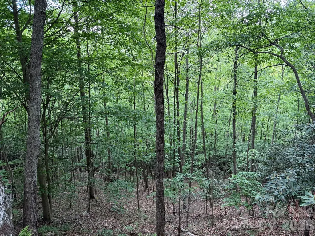 408 Arvil Gosnell Road Marshall NC 28753