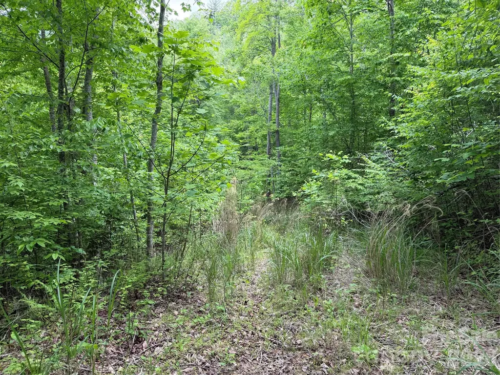 408 Arvil Gosnell Road Marshall NC 28753