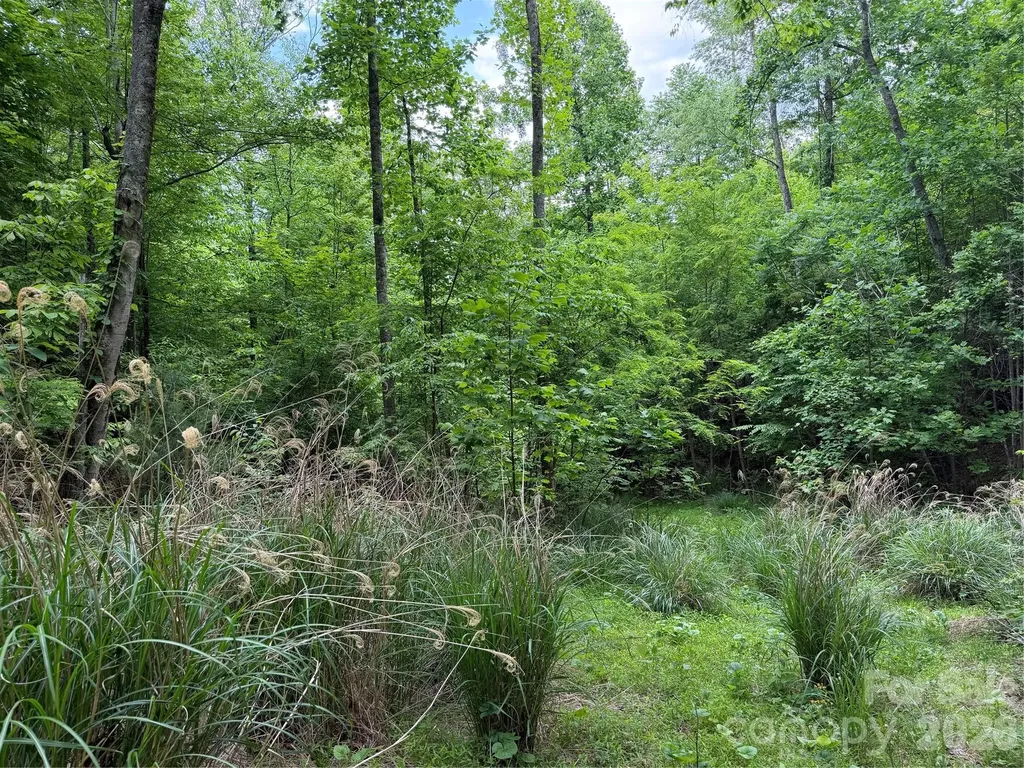 408 Arvil Gosnell Road Marshall NC 28753