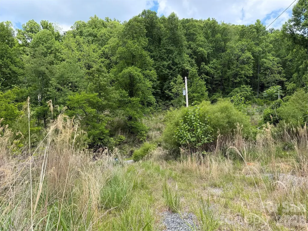 408 Arvil Gosnell Road Marshall NC 28753