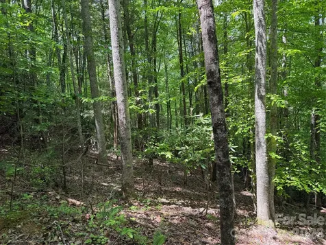 408 Arvil Gosnell Road Marshall NC 28753