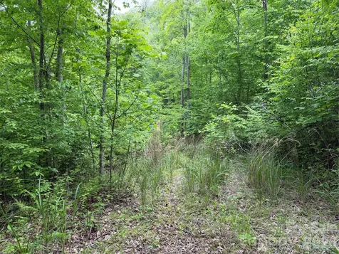 408 Arvil Gosnell Road Marshall NC 28753
