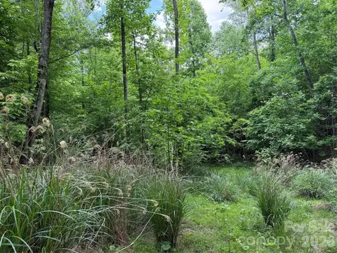 408 Arvil Gosnell Road Marshall NC 28753